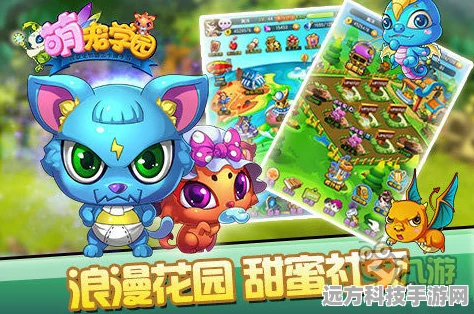 花样猫咪来袭，打造你的专属萌宠乐园