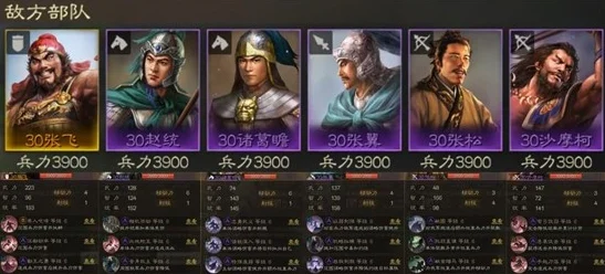 三国志战棋版庞德深度解析，强度与玩法全揭秘