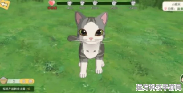 小森生活，揭秘猫毛球的获取秘籍与攻略