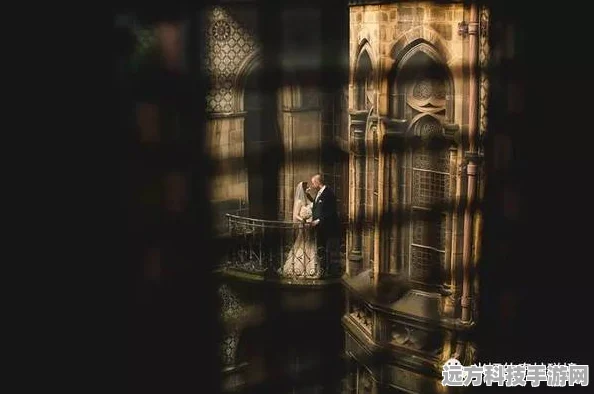 探寻魔法世界的起点，哈利波特第一部精彩内容全解析