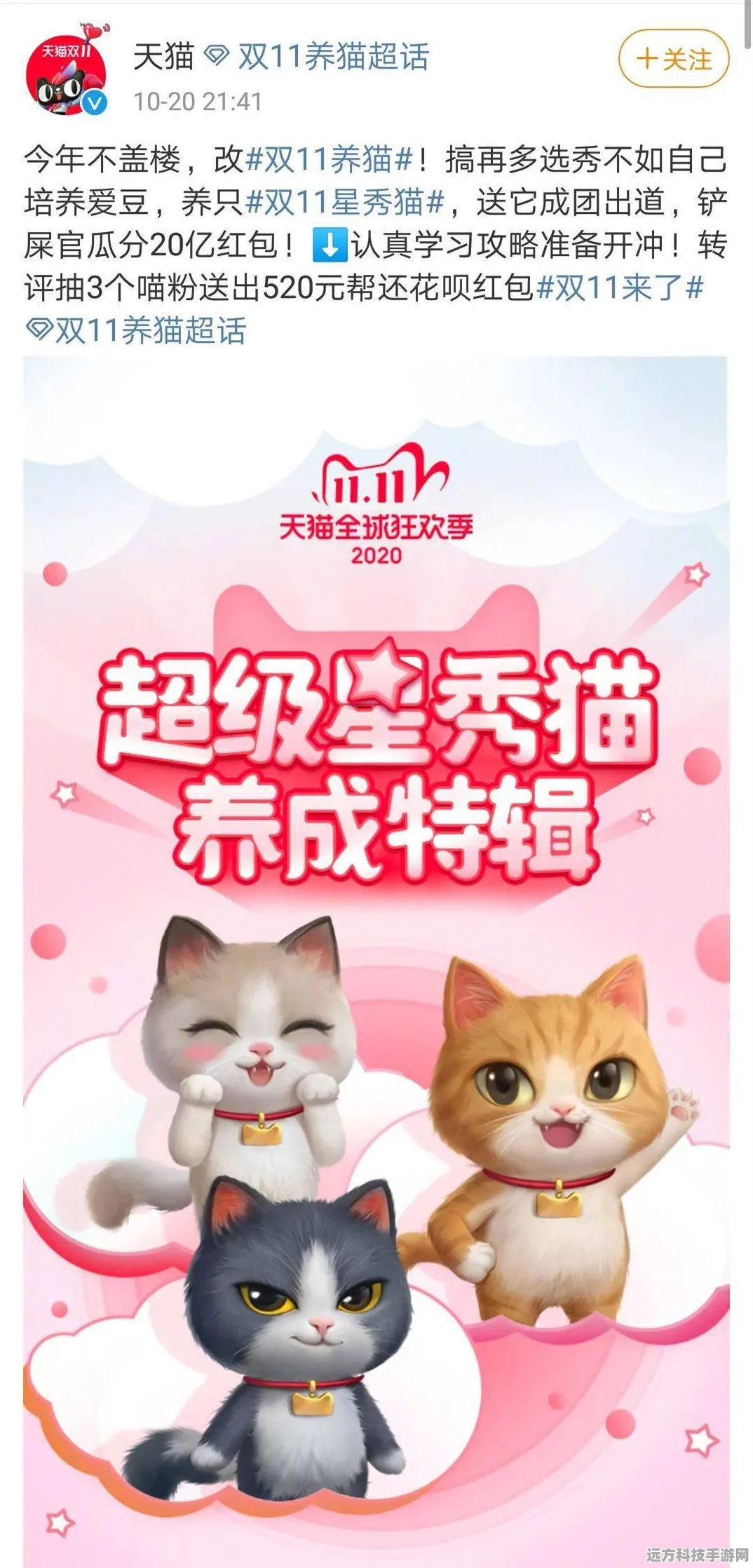 金币养猫红包版，萌宠养成，轻松赚钱新体验