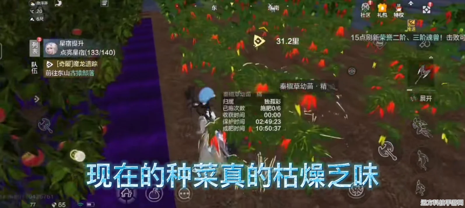 妄想山海神树位置揭秘，解锁神秘树木的终极探索攻略
