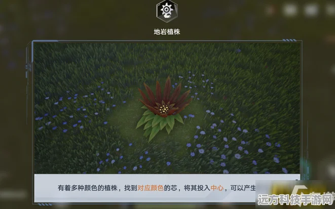 幻塔玫瑰园地岩植株解锁秘籍，花芯位置全揭秘