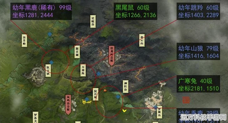 烟雨江湖全地图资源点大揭秘