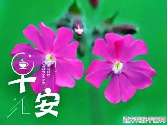暗黑黎明2，五彩雨露全攻略，助你夏日狂欢