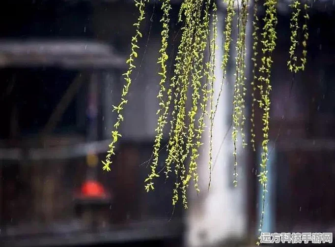 王者荣耀共赏芳华天幕，解锁史诗级边框特效的秘籍