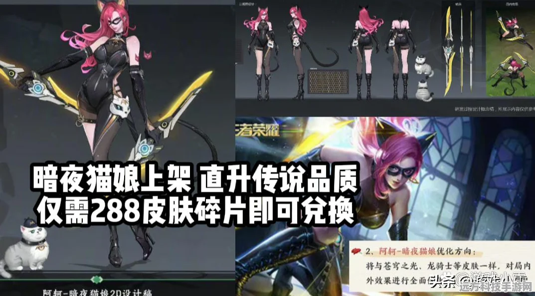 王者荣耀阿轲，暗夜中的致命刺客
