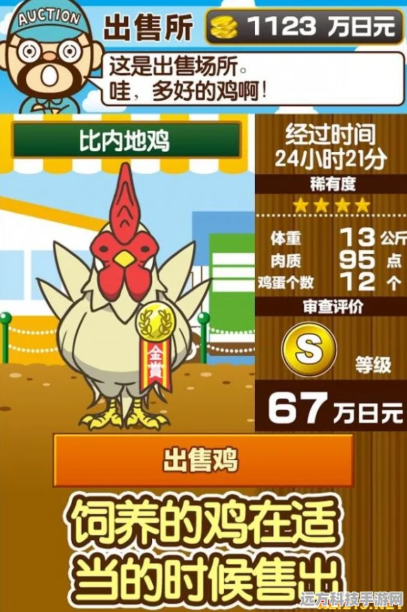 小森生活，捕鸡秘籍大公开，让你轻松成为养鸡达人