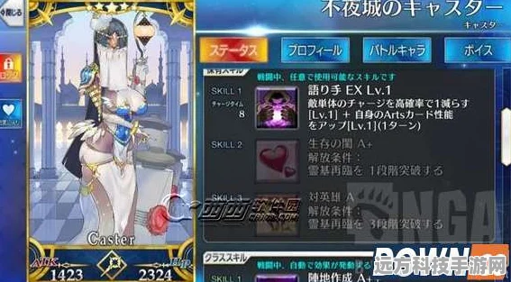 FGO宫本武藏深度评测，技能解析与实战应用