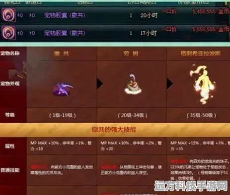 DNF宠物属性深度解析，打造专属战斗伙伴
