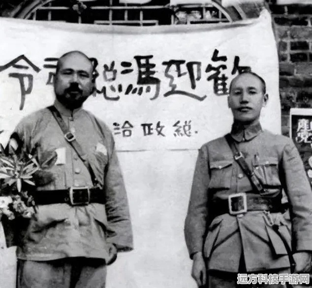 黎明之路步枪大全，惊喜揭秘！所有步枪属性数据详尽汇总与最新枪械亮点