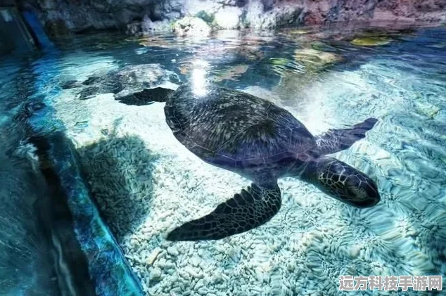 海洋冒险新纪元，海上漂流战手机版震撼来袭！
