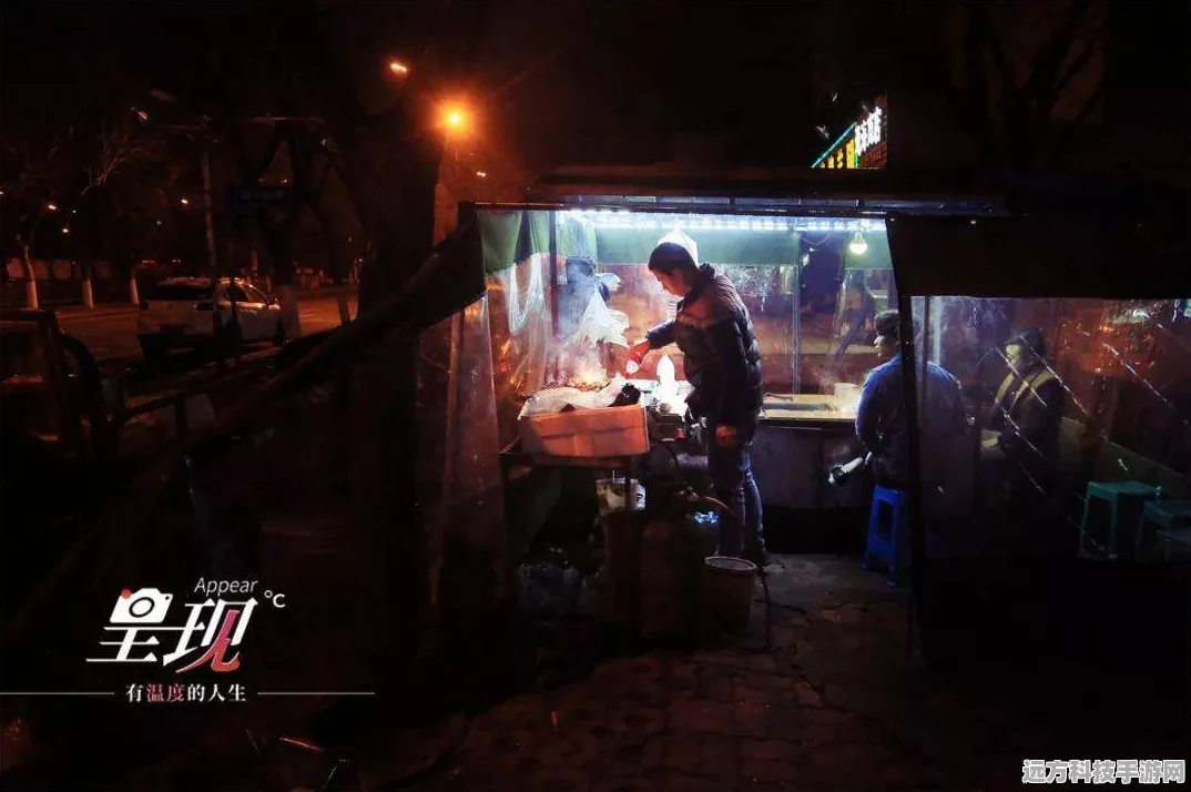 深夜美食家的梦幻之旅，探索深夜路边摊的奇妙经营