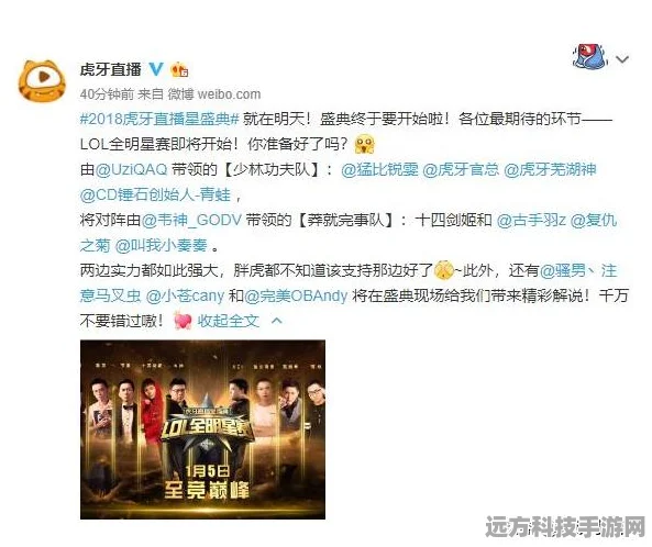 创造与魔法，符文石鉴定全攻略，哪个属性才是你的菜？