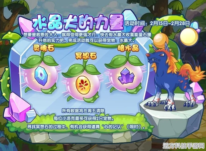 洛克王国，揭秘精力之果的神奇效用