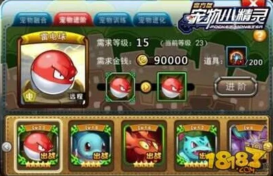造梦无双宠物升级秘籍，解锁最快升级路径