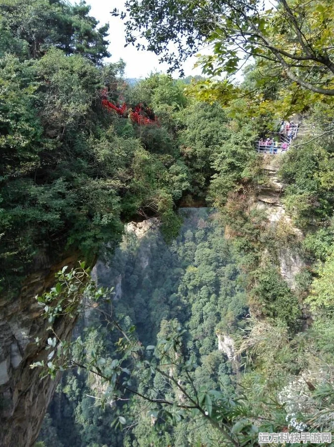 烟雨江湖乾坤剑，探寻最佳属性效果的终极奥秘