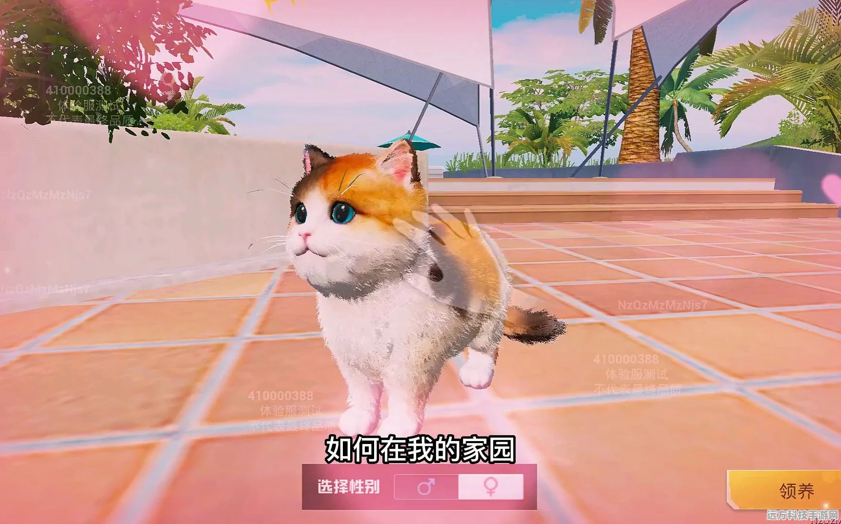 和平精英家园系统养猫全攻略，打造你的萌宠乐园