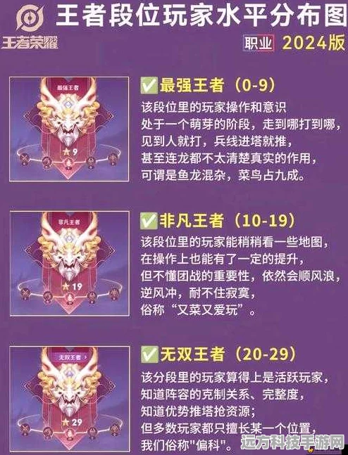 王者荣耀标准场次深度解析，资源管理与分配的艺术