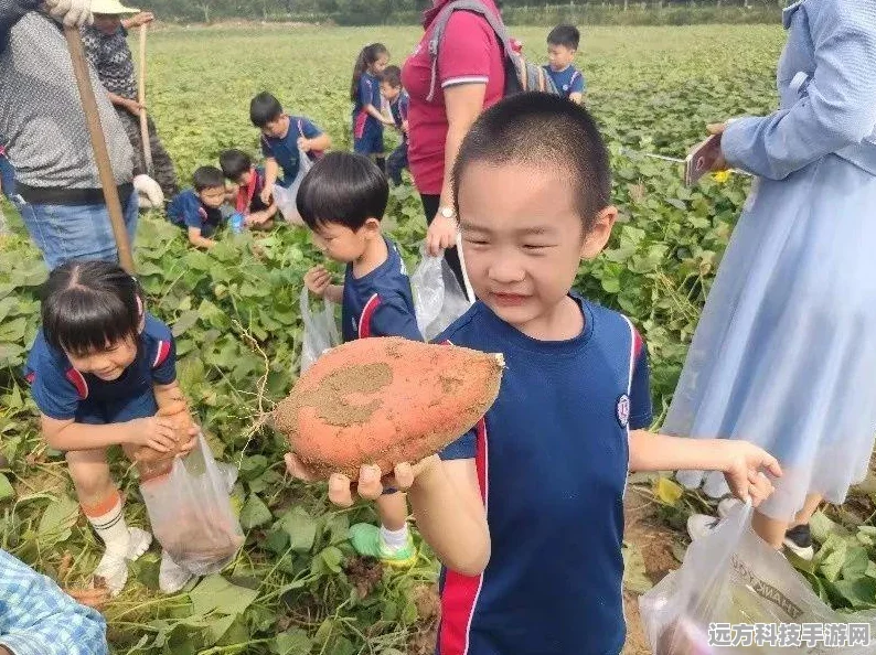 梦幻西游手游放风筝全攻略，解锁放风筝的乐趣与奖励