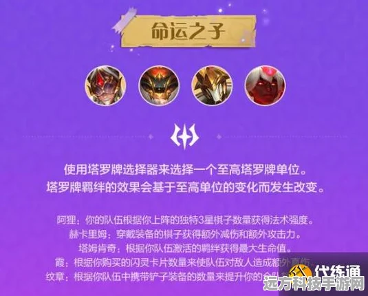 金铲铲之战深度解析，揭开血量扣除的神秘面纱