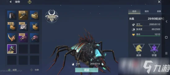 妄想山海千年宠物培养指南，哪些宠物值得你倾心打造？
