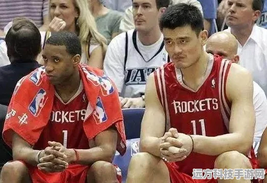 全明星街球派对中锋大揭秘，谁是球场上的真正霸主？