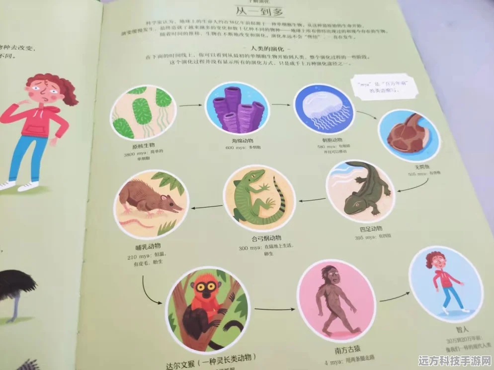 探索生命奥秘，尽在生命简史——精品休闲养成新体验