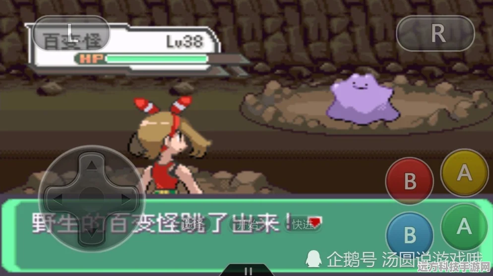 揭秘口袋妖怪壶壶，独特无进化的发酵宝可梦