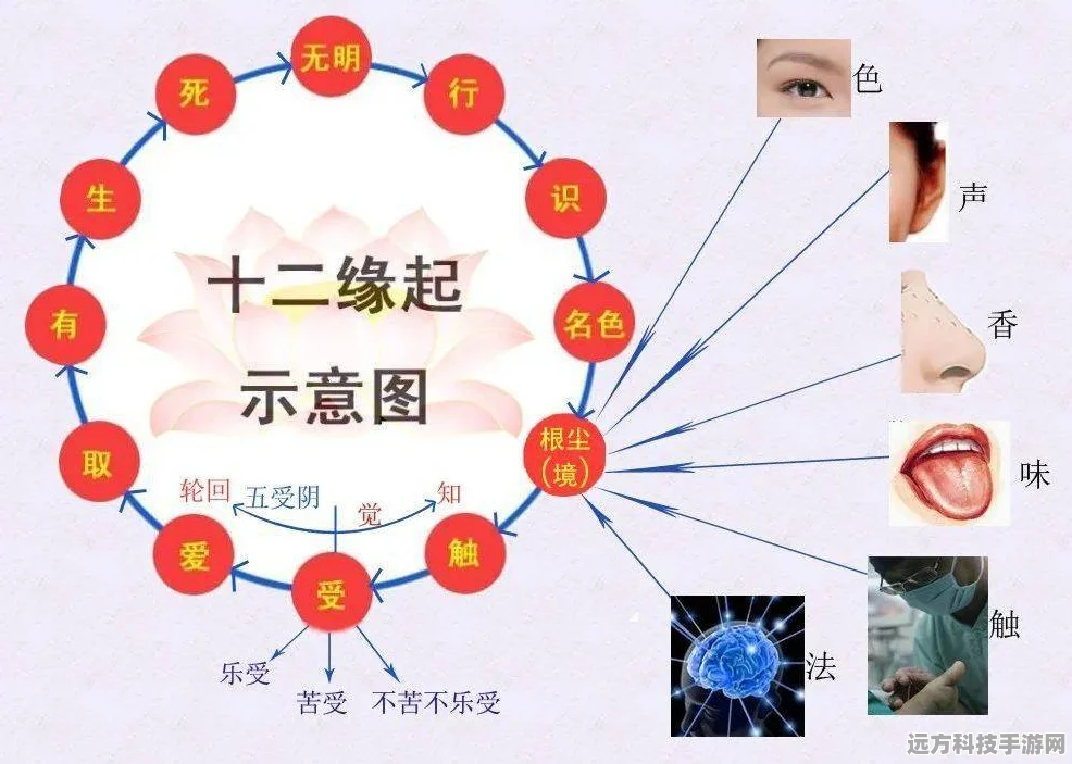 原神深度探索，激化反应的奥秘与激元素特性全剖析