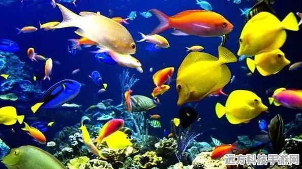 探索海底奥秘，虚无鱼Baspi手机版，真实喂食体验等你来享