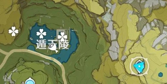 原神宝藏探寻，解锁神秘埋藏地的秘密