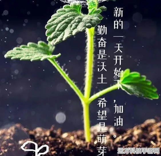 最强蜗牛天使形态解锁秘籍，一步步教你展翅高飞