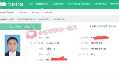 学信网探秘，轻松解锁你的学历信息，手游玩家也能秒懂！