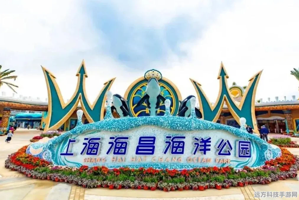 双人对决盛宴，手机版合集来袭，联机对决趣味无穷！