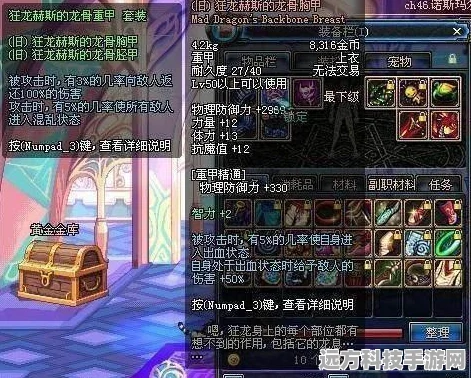DNF弹药专家武器精选全攻略，揭秘高效输出的终极秘诀
