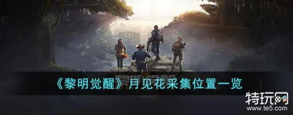 黎明觉醒月见花采集全攻略，解锁你的夜晚奇遇