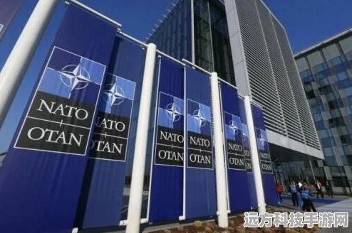 和平精英美化包，打造个性化游戏外观的秘籍