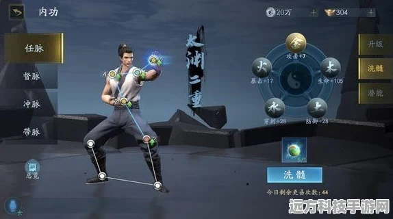 流星蝴蝶剑手游，职业大揭秘，谁才是最强王者？