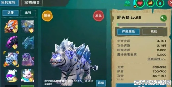 创造与魔法，白虎6阶稳定合成秘籍，融合艺术全揭秘！