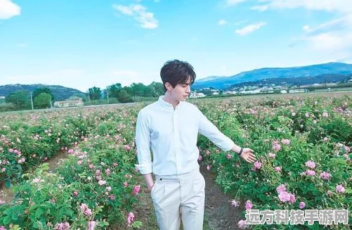 恋与制作人，深度剖析，你我心中的完美恋人是谁？
