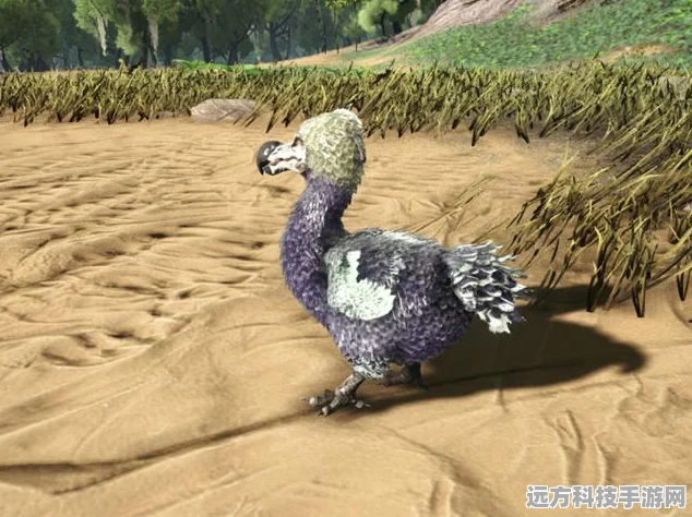 方舟生存进化，揭秘渡渡鸟饲料的制作秘籍