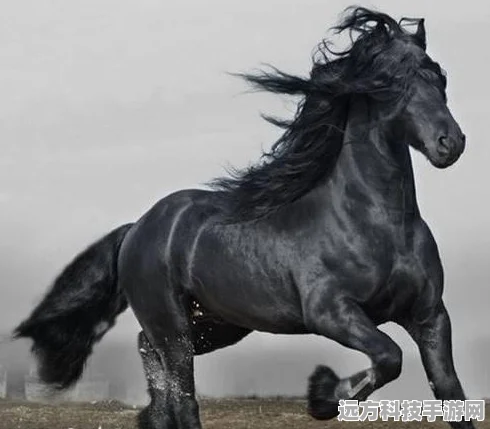 王者荣耀关羽攻略，掌握这些技巧，驰骋战场不是梦