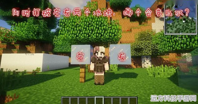 探秘方块世界，我的世界冷门知识与附魔种植技巧大公开