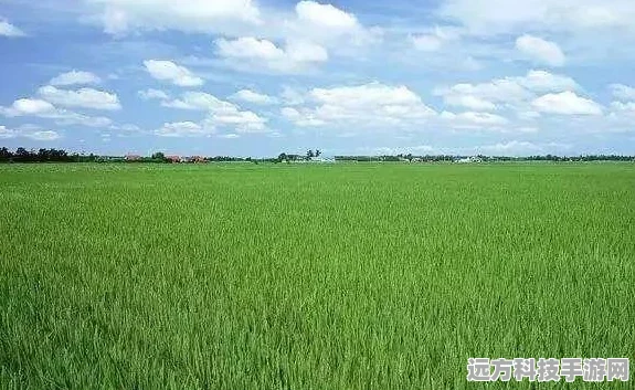 王者荣耀保护卡能否延续至新赛季？详解保护卡机制