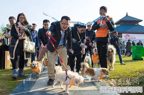 遛狗赛跑，一场萌宠相伴的休闲跑酷之旅