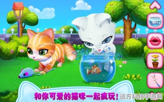 菲露茜斯宠物猫安卓纯净版，打造你的梦幻宠物乐园