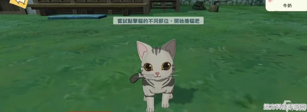 小森生活土拨鼠捕猎全攻略，揭秘土拨鼠出洞与捕猎技巧