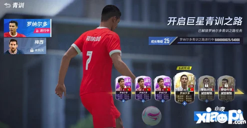 绿茵信仰，梅西兑换码全攻略，解锁足球巨星