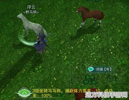 剑网3马驹捕获与驯养全攻略，驰骋江湖的必备秘籍